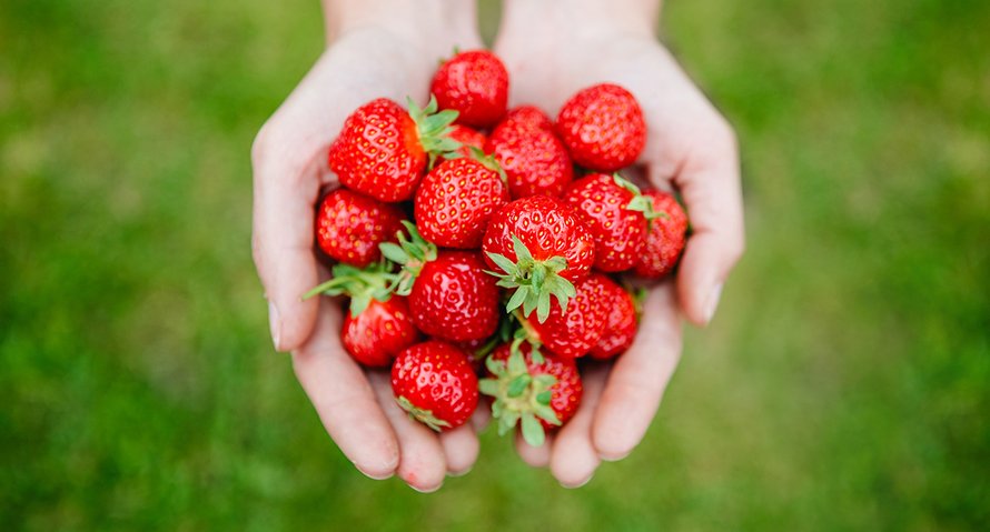 Beeld: Shutterstock