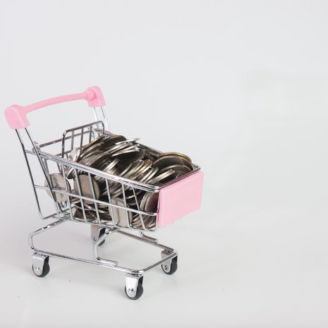 besparen 70 euro boodschappen hele gezin
