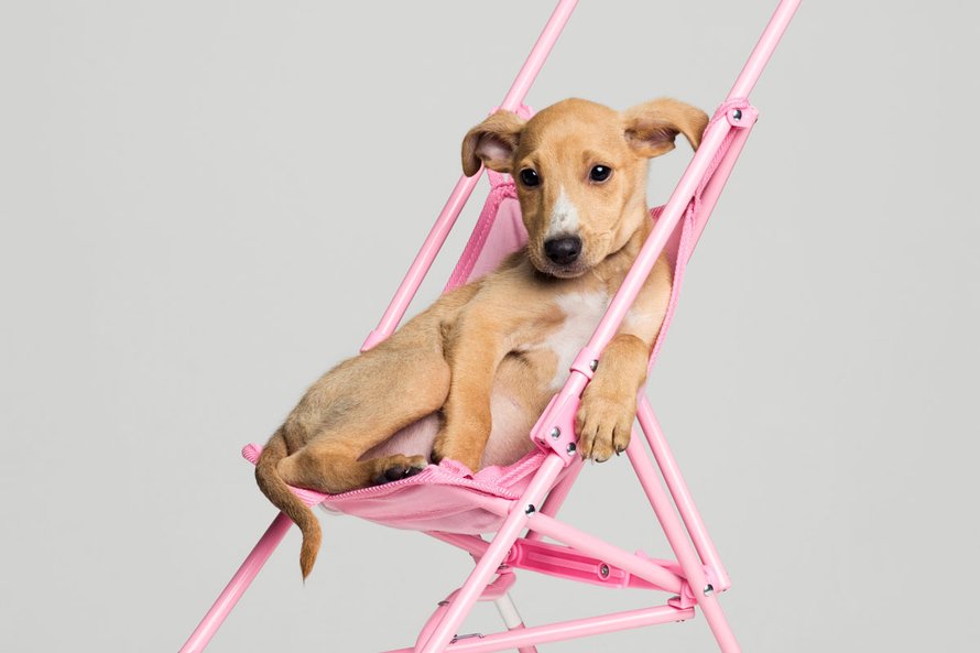 Checklist: hier moet je op letten bij het kopen van een buggy