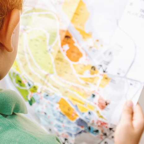 stedentrip kinderen