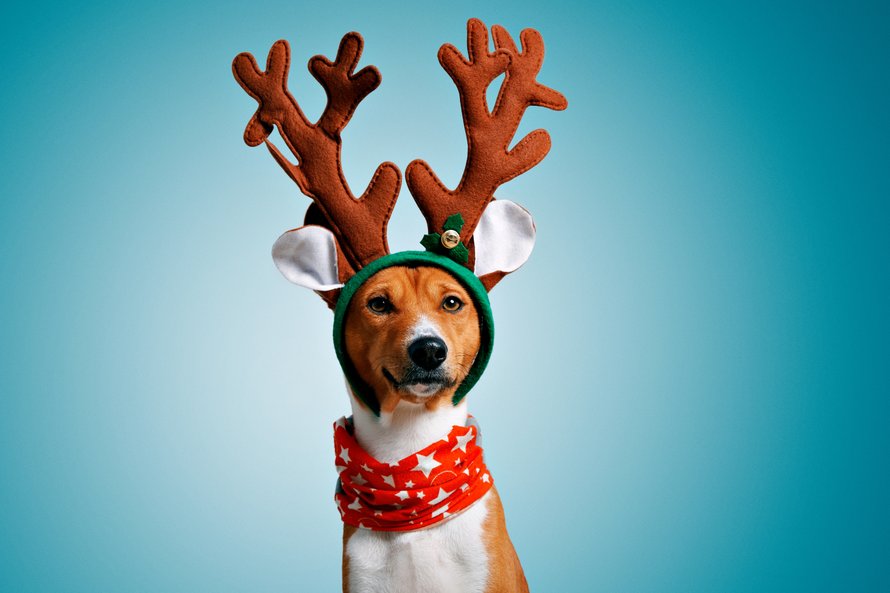 coronaproof_kerst_vieren