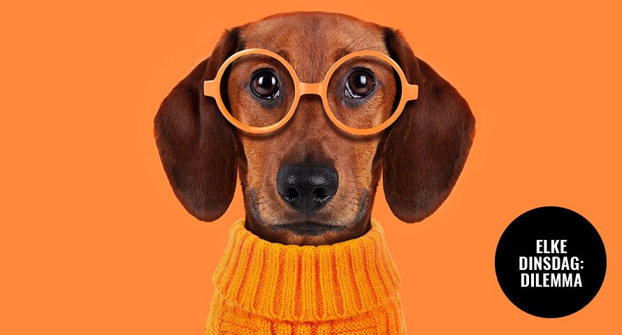 dilemma topstory zoon allergie hond
