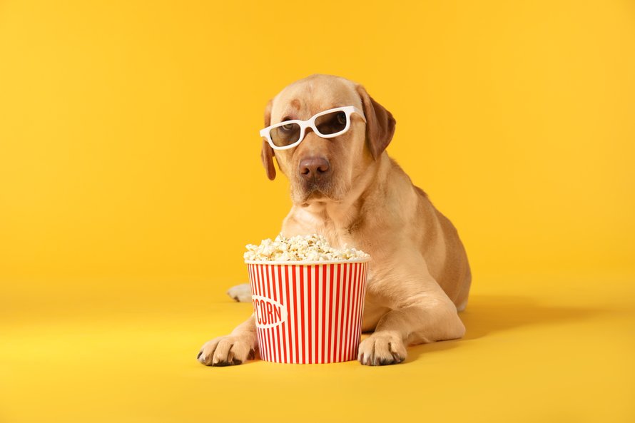 films_voor_kinderen_amazon_prime_video