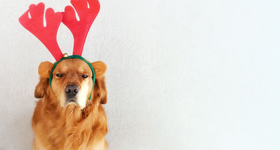 geen kerst vieren