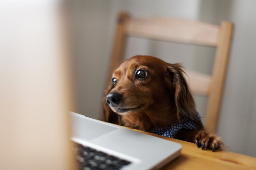 ‘Parents hardly see the harmful effects of screens’