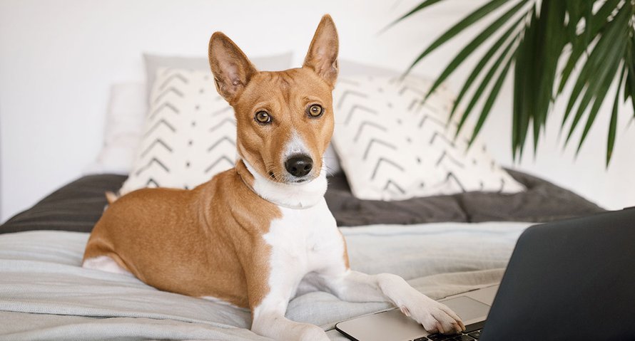 ‘Ik heb een wachtwoord op mijn laptop gezet voordat ze in Only Fans terecht kwamen’