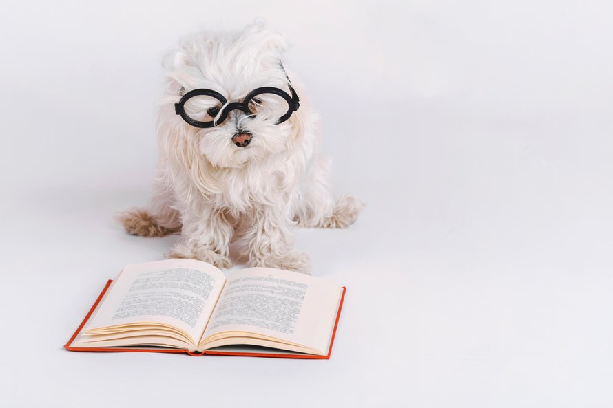 leuke_boeken_voor_kleuters