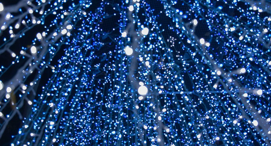 lichtjes aan gezinsuitjes december 2020 kerstvakantie