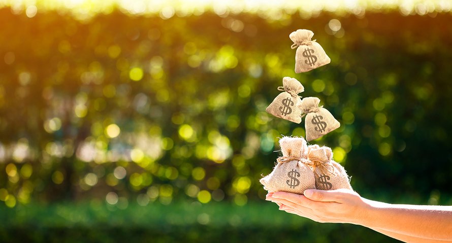 Beeld: Shutterstock