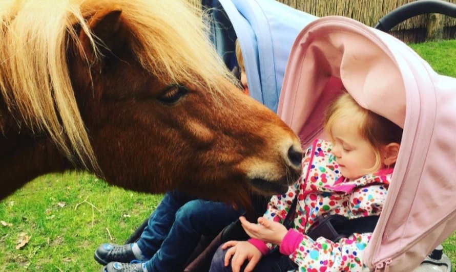 paarden-moestuintjes-bner-moeders-instagram