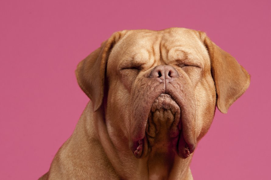 peuter-doet-geen-oog-dicht-middag