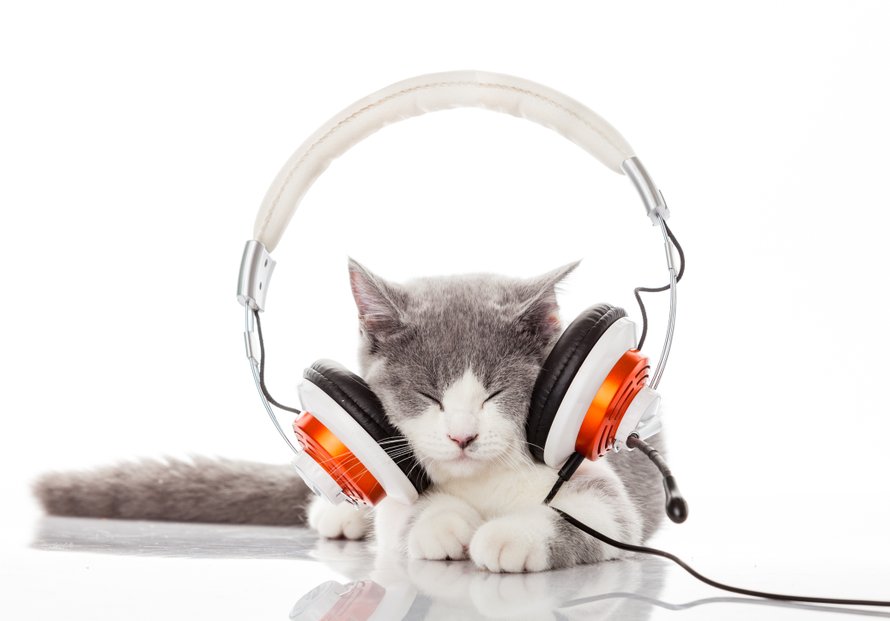 podcast eerste weken met baby