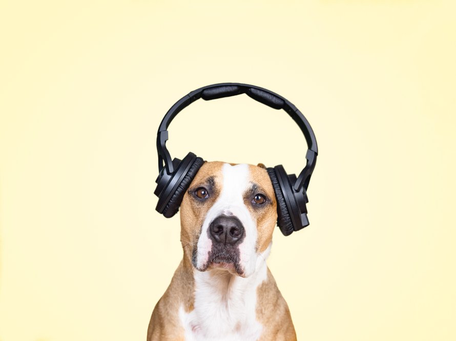 podcast_ruzie_broers_zussen