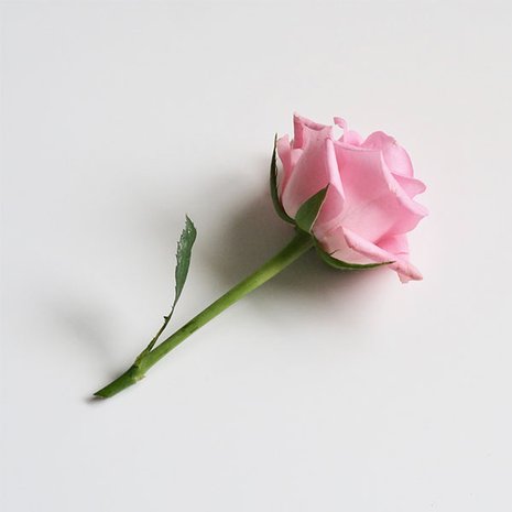 kind slapen