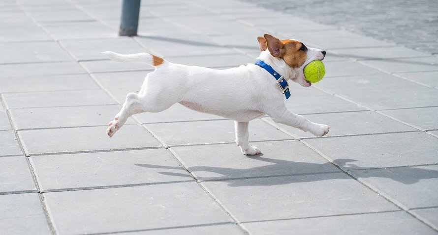 leuke sporten kleuter