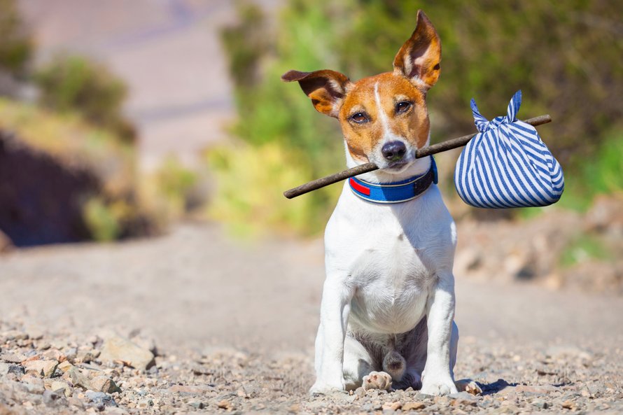 tips-reizen-alleen-handbagage