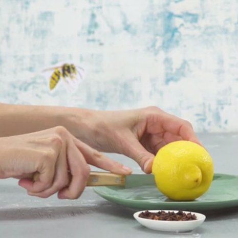tips tegen wespen