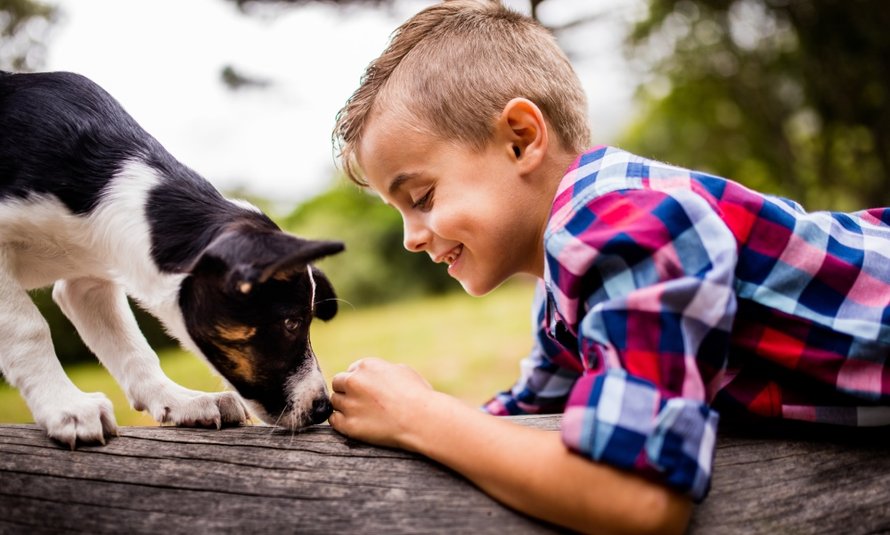 Sponsored 5x leuke uitjes met de hond Kekmama