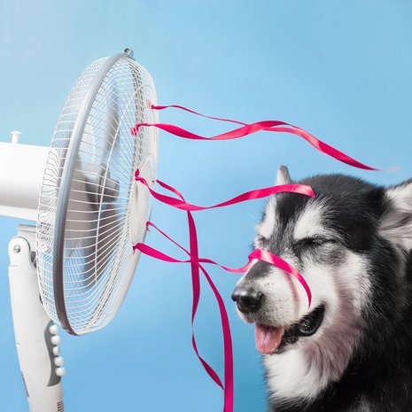 ventilatoren