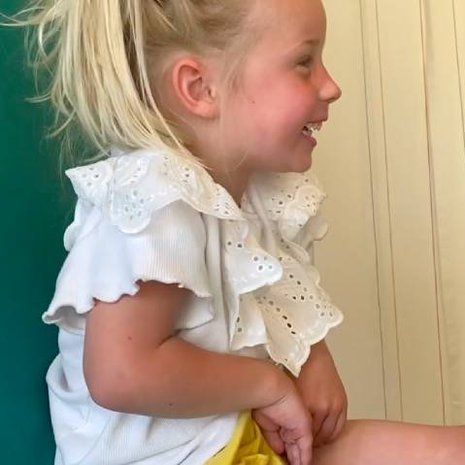 vlog_eline_gips