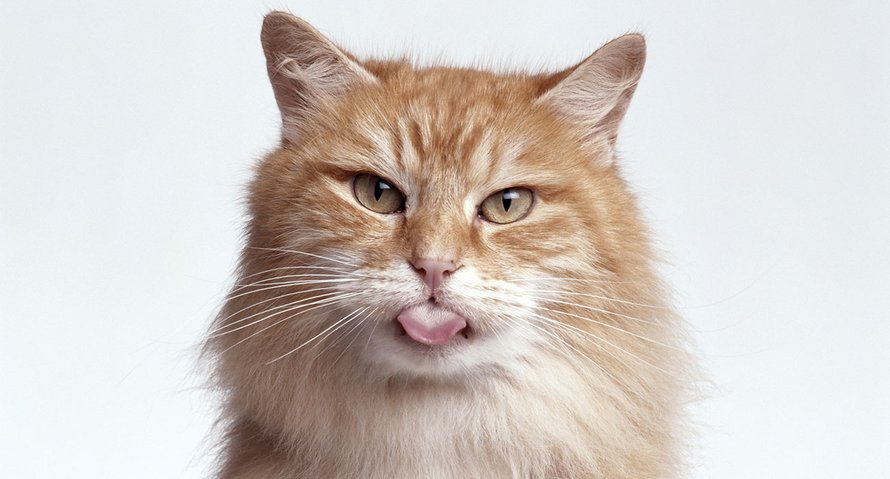 'Ik zou het niet eens willen, een perfecte moeder zijn'