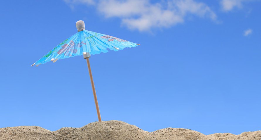 zomervakantie meeste Nederlanders boeken deze dag