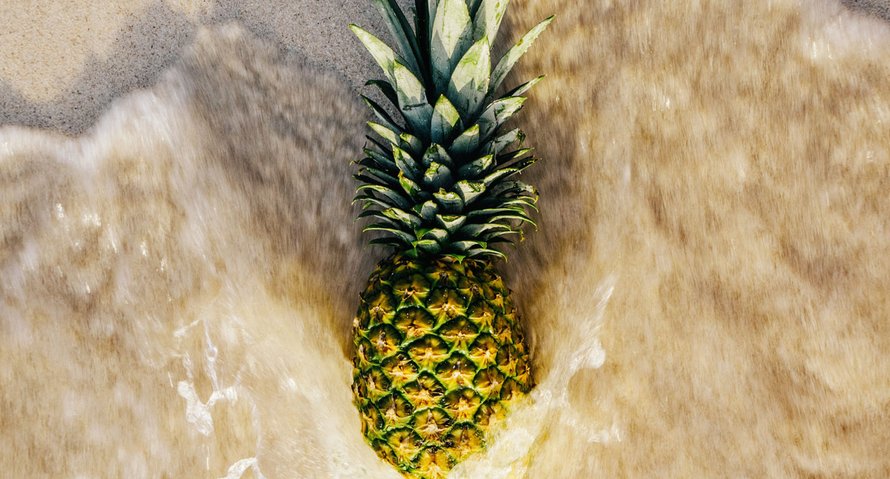zwanger op vakantie