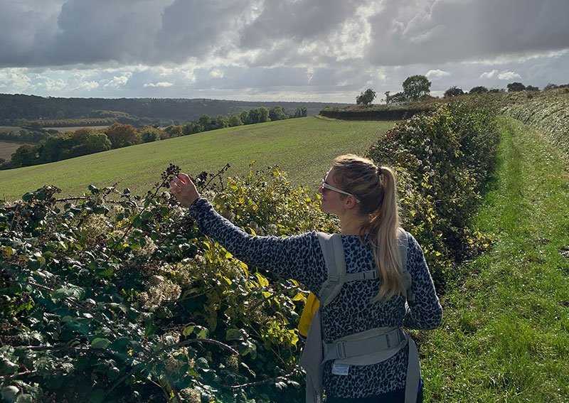 Cotswolds Engeland reisverhaal tips vakantie