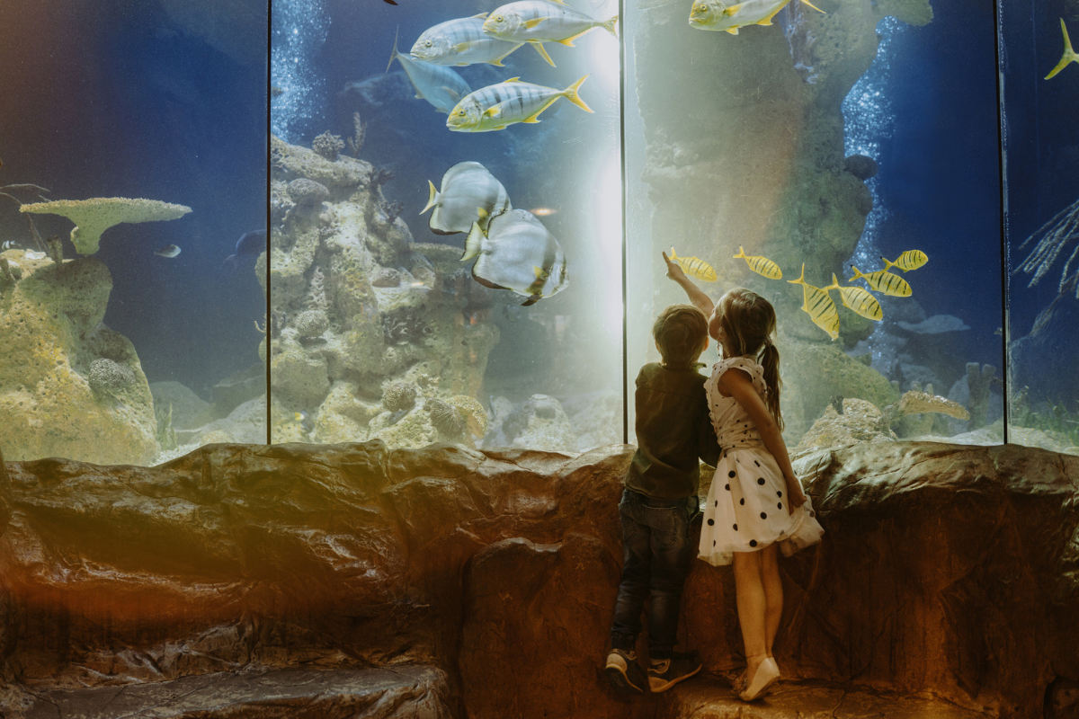 leukste aquaria in nederland