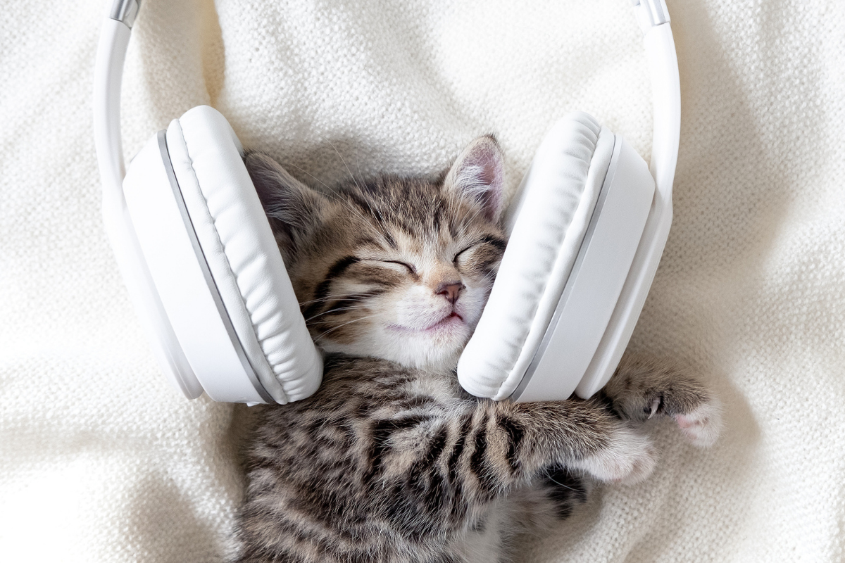 podcast goede voorbeeld