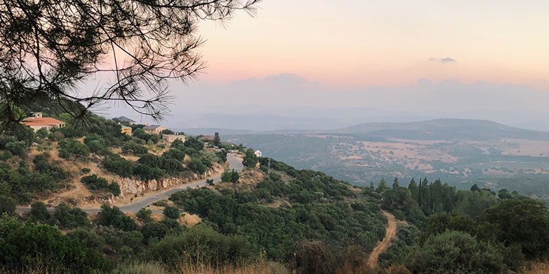Israël vakantie met dreumes