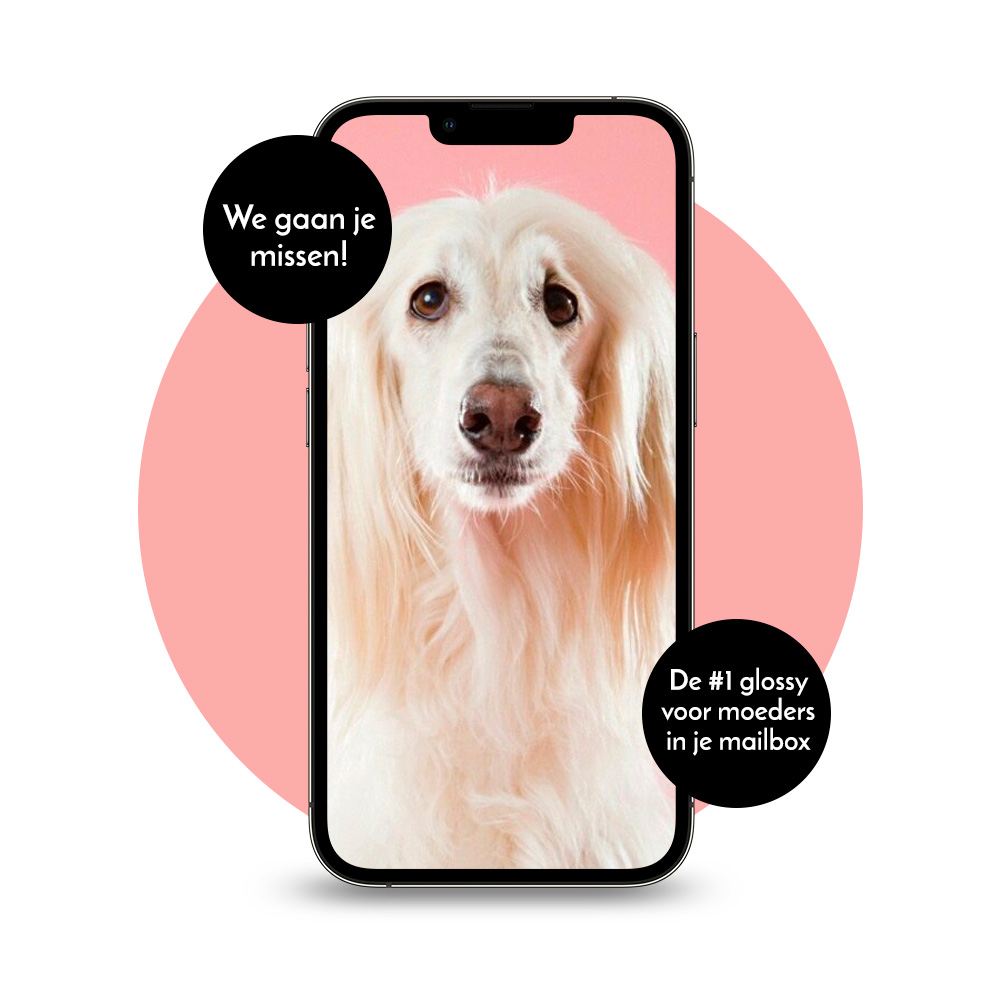 Hond met stijl haar in telefoon