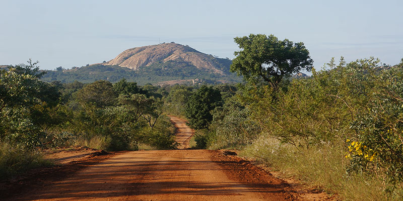 safari South Africa with kids