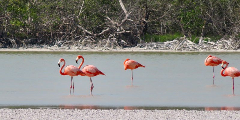 vakantie met kinderen Zuidoost Mexico